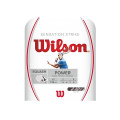 Wilson Sensation Strike Squash 10m Set